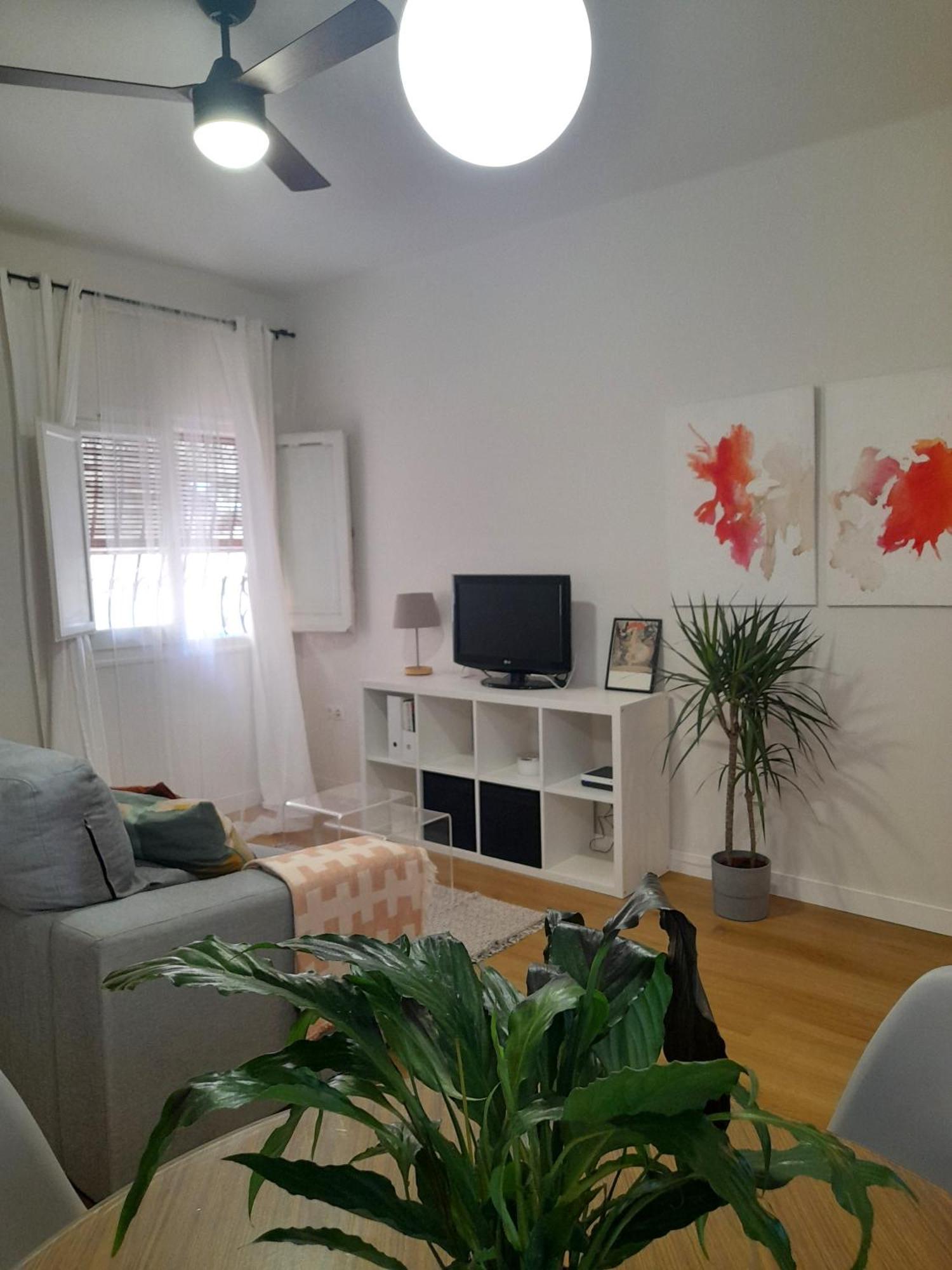 Apartamento Amar-Cura 말라가 외부 사진